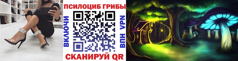 наркотики  Усть-Кут  Галлюциногенные грибы прущие грибы 