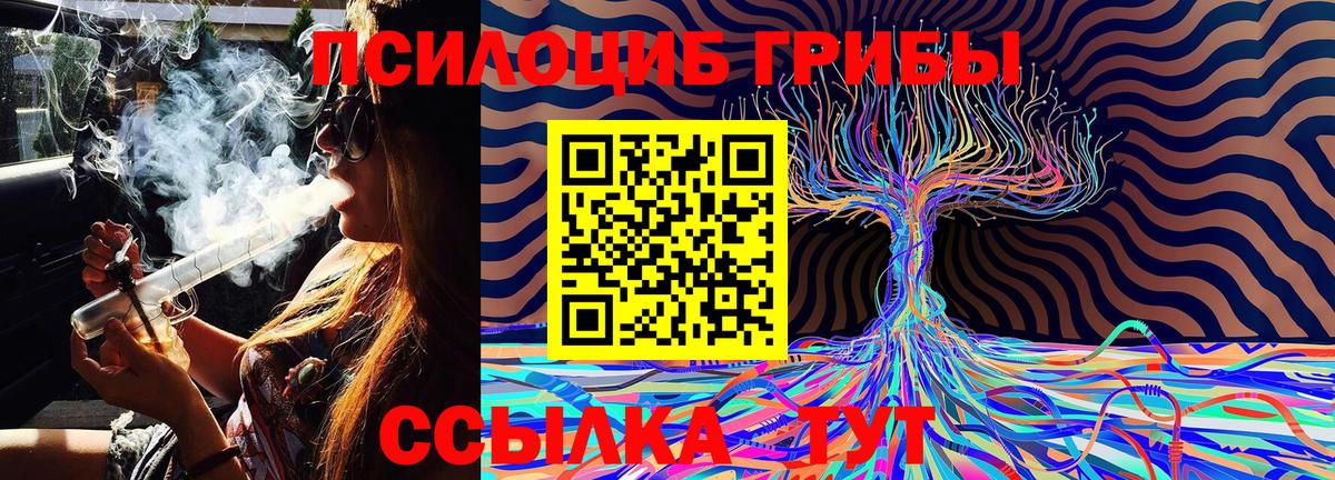 Галлюциногенные грибы MAGIC MUSHROOMS  Вход с VPN  Усть-Кут 
