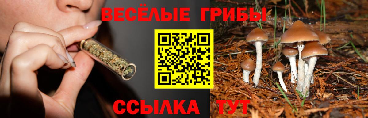Псилоцибиновые грибы мухоморы Усть-Кут